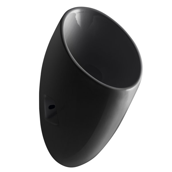 K49170,7 Kohler Steward Waterless Wall Mounted Urinal & Reviews Wayfair